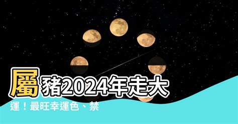 屬豬幸運色2024